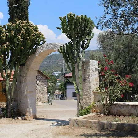 Ferahhotel Yesilkoy (Mediterranean)